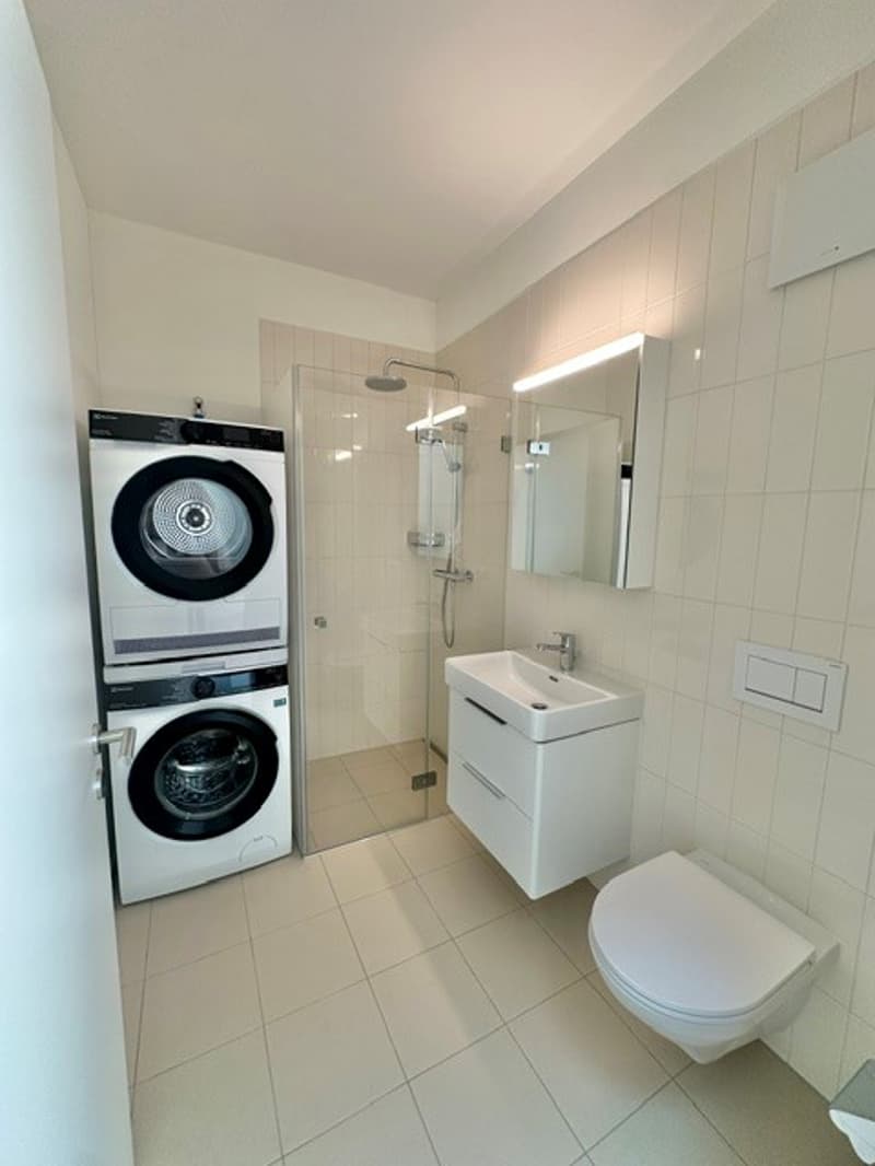 3½-Zimmer-Attikawohnung | Neubau (10)