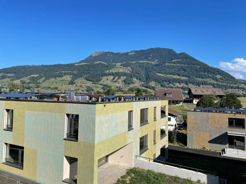Traumhafte Aussicht Richtung Rigi