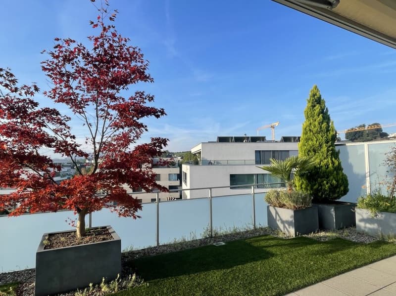 Ost-West Terrasse