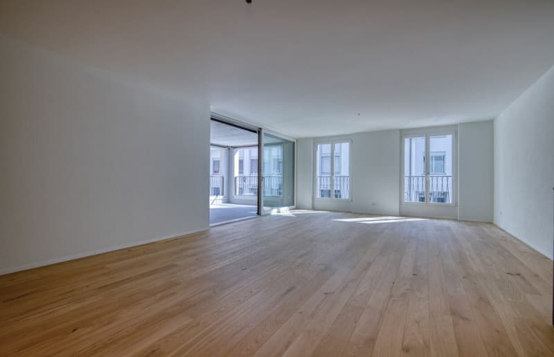 Appartement moderne 3.5 pièces avec loggia en centre-ville (4)