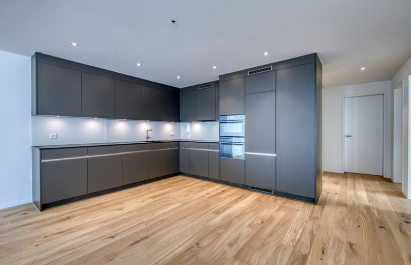 Appartement moderne 3.5 pièces avec loggia en centre-ville (5)