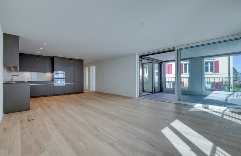 Appartement moderne 3.5 pièces avec loggia en centre-ville (3)