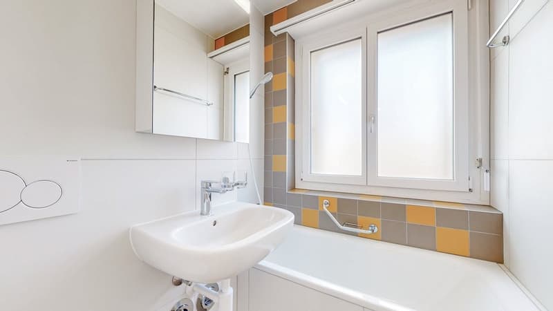 App-3-Zi-Chaux-de-Fonds-Salle-de-Bains.JPG_P013864434.JPG