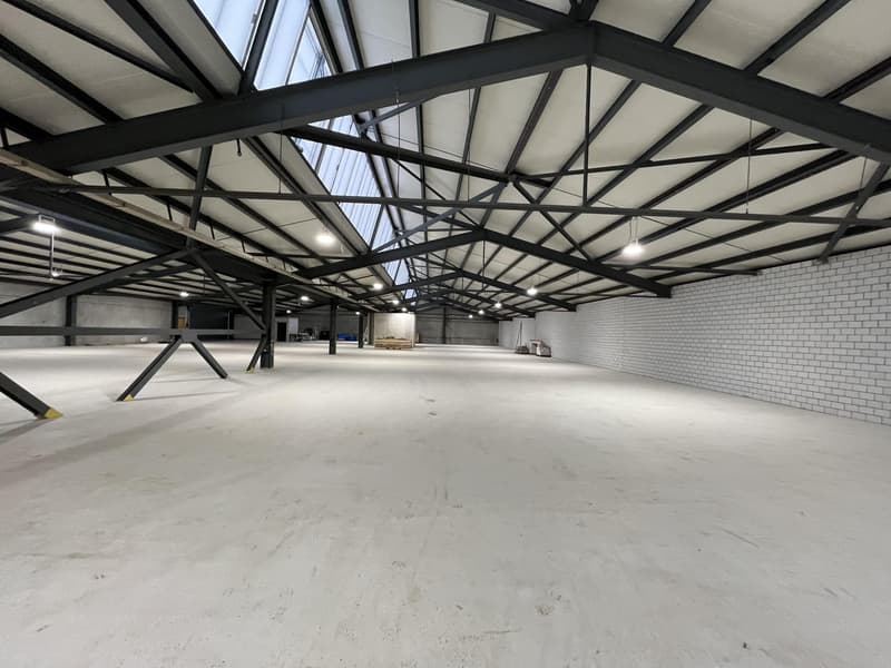 Zentrale Lager- und Produktionsflächen (5)