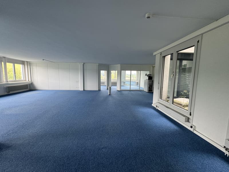 Spacious office and commercial space for rent (9)