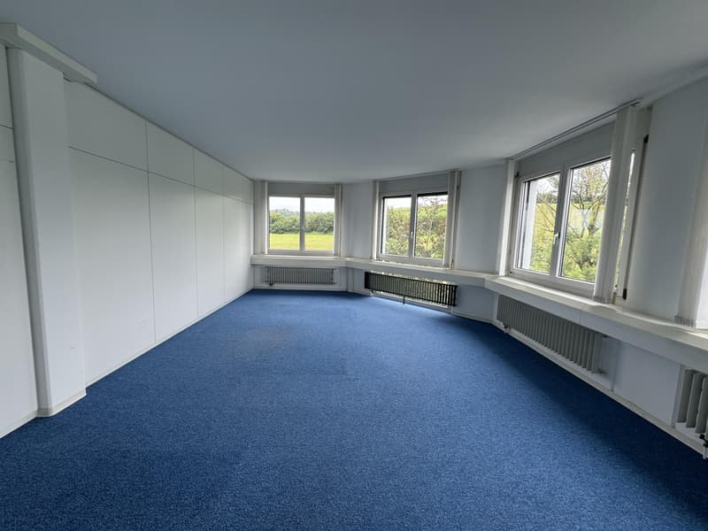 Spacious office and commercial space for rent (7)
