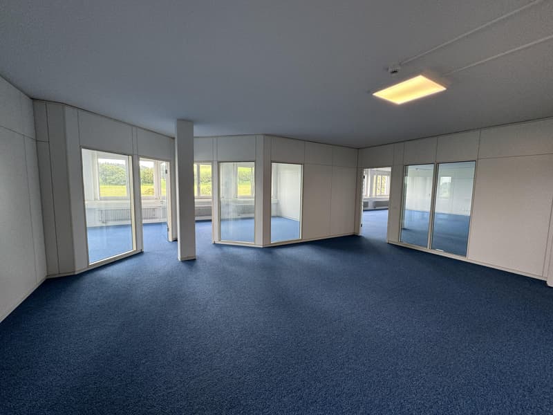 Spacious office and commercial space for rent (10)