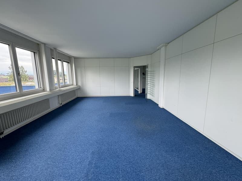 Spacious office and commercial space for rent (6)