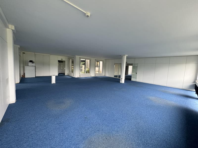 Spacious office and commercial space for rent (8)