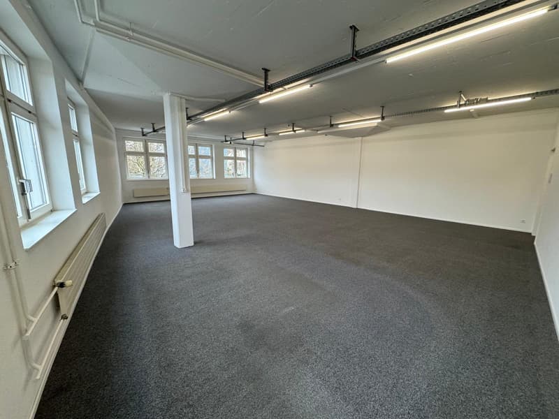 Attractive rent - Directly on the highway in Dierikon (8)