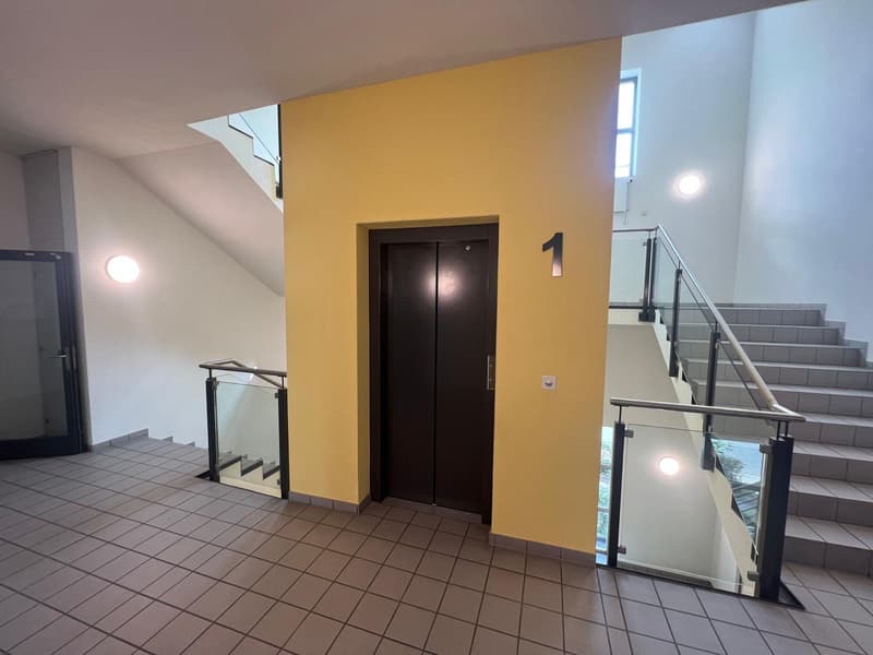 Attractive rent - Directly on the highway in Dierikon (11)