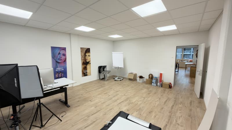Central office and commercial space for rent in Urdorf (11)
