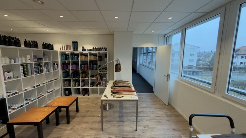 Central office and commercial space for rent in Urdorf (3)