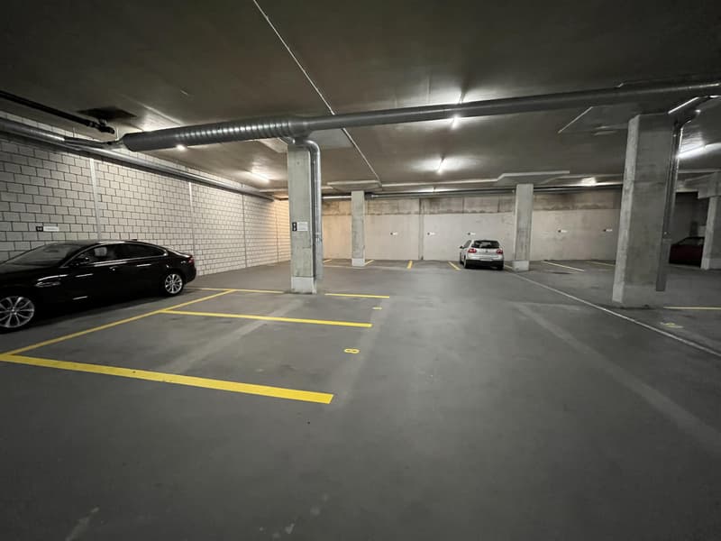 Attractive retail space, directly on the highway in Dierikon LU (11)