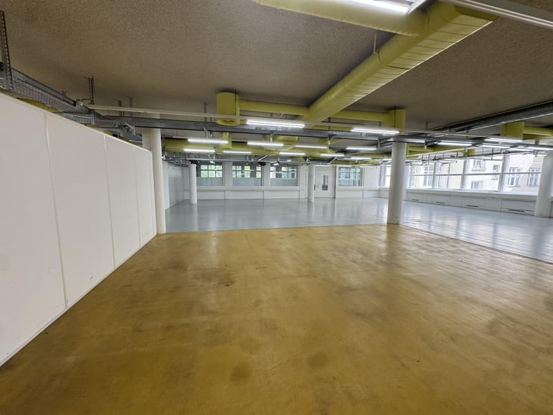 Suddivisione flessibile di spazio di produzione e magazzino! (3)
