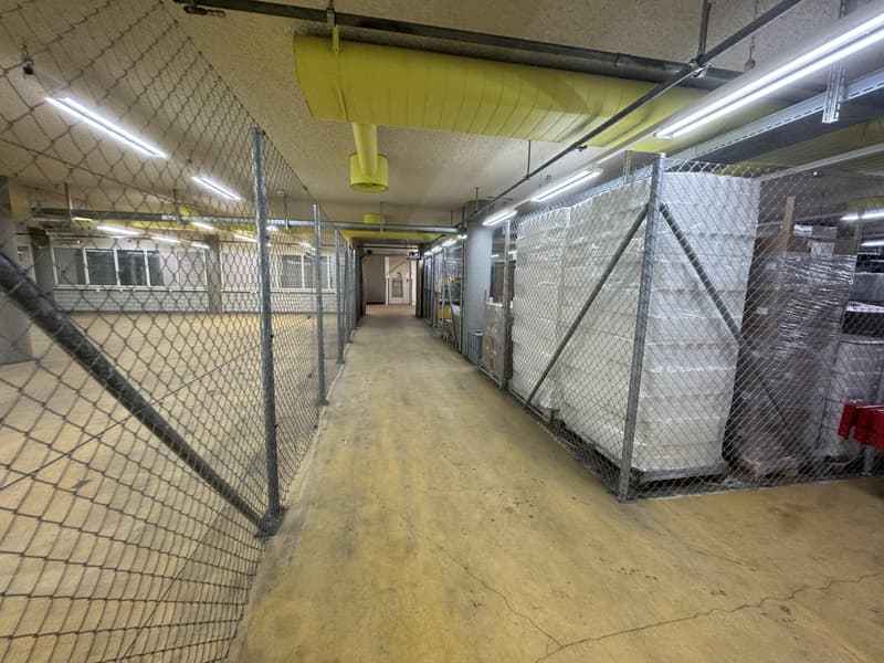 Propriété commerciale à Soleure (11)