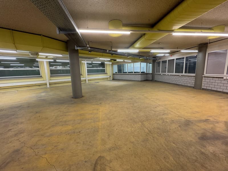 Propriété commerciale à Soleure (4)