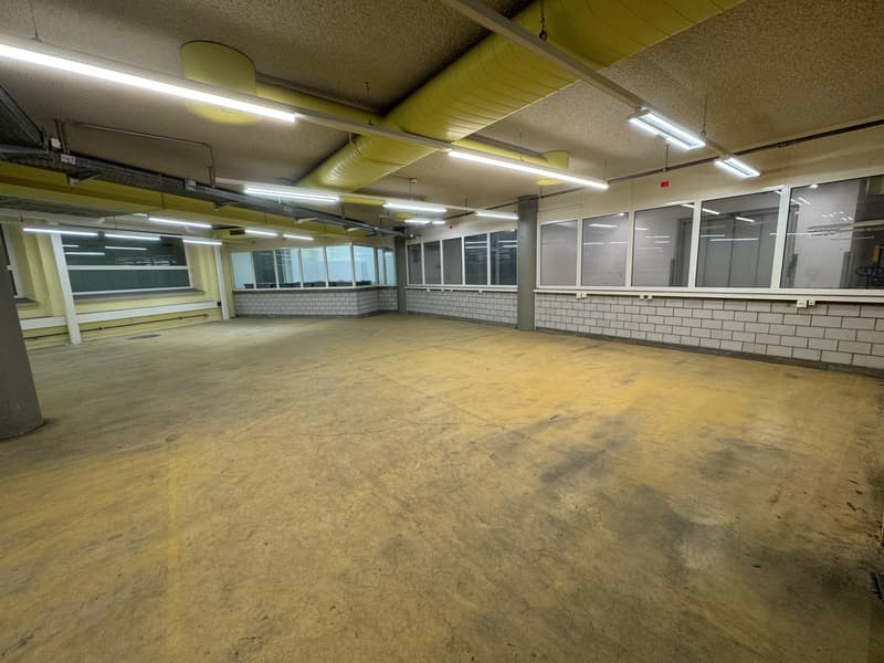 Propriété commerciale à Soleure (5)