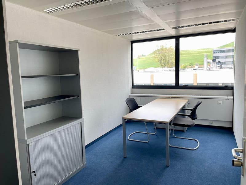 Commercial space for rent in Baar (9)