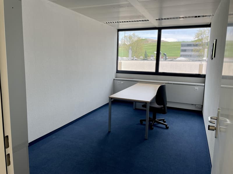 Commercial space for rent in Baar (8)