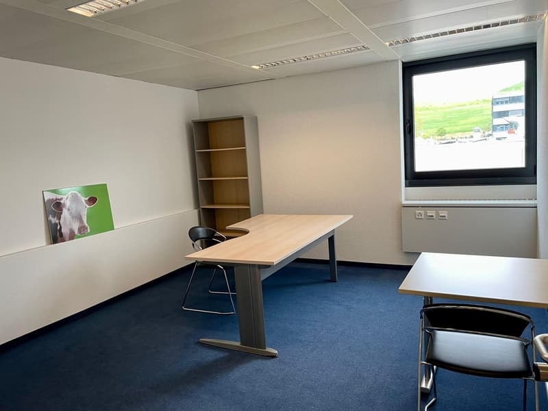 Commercial space for rent in Baar (7)