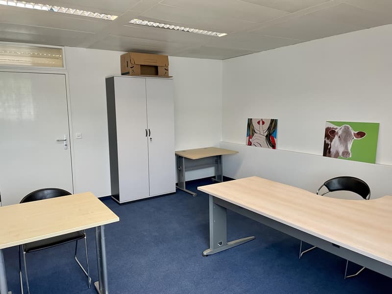 Commercial space for rent in Baar (11)