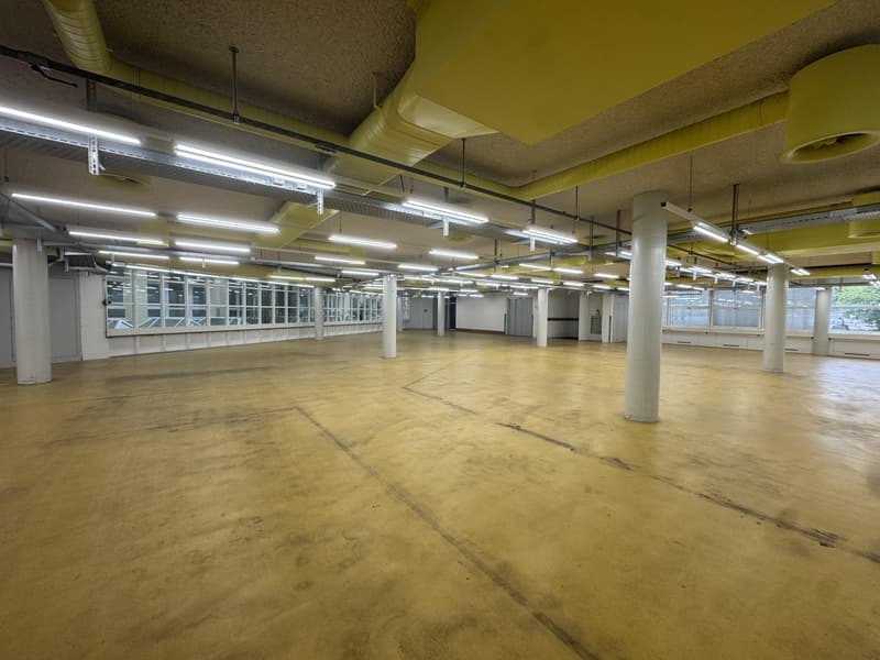 Espace de stockage/industriel attractif à louer à Solothurn (5)