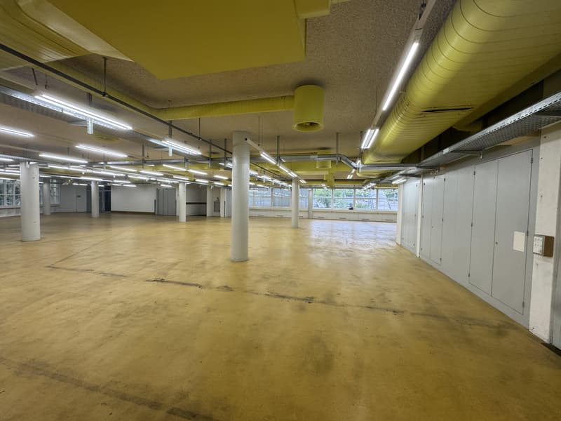 Espace de stockage/industriel attractif à louer à Solothurn (8)