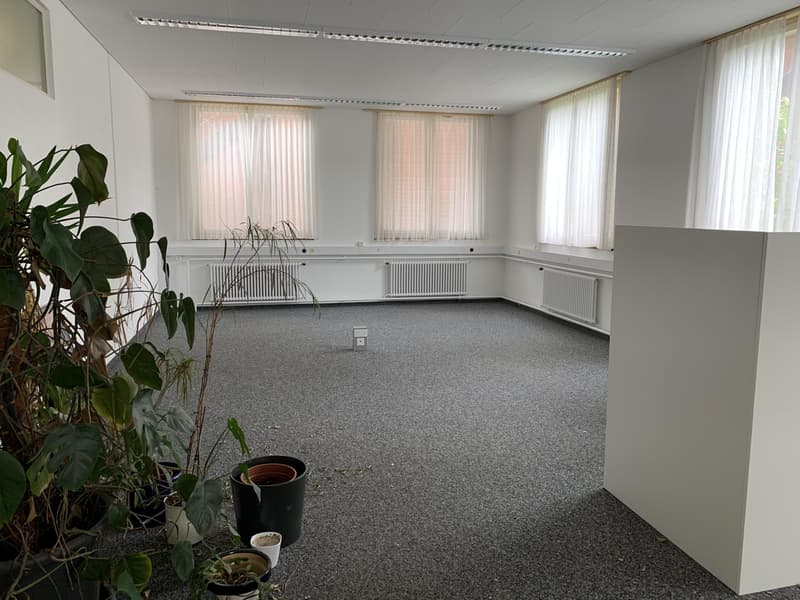Commerce, Bureau & Entrepôt à Balsthal à louer à partir de 50m2 (5)