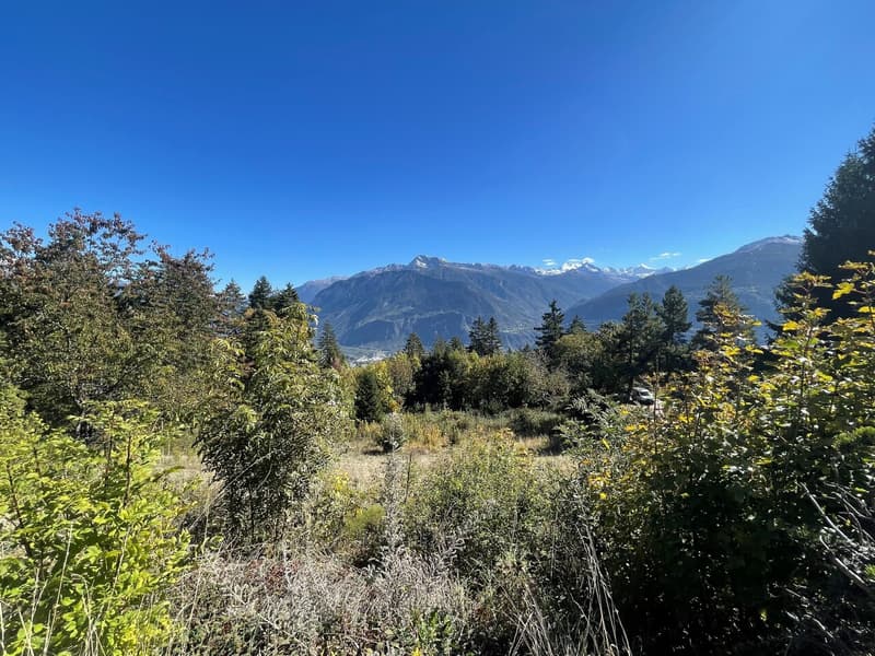 8006. Grande parcelle  en zone de réserve  - Bluche (2)