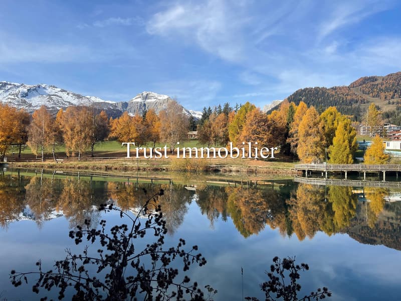 Votre futur Chalet, Centre de Crans (1)