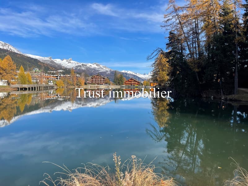 Votre futur Chalet, Centre de Crans (3)