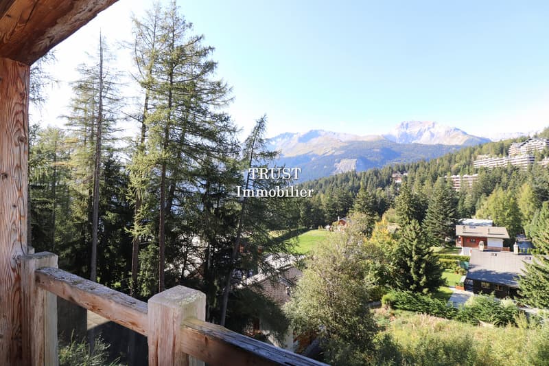 5010. Magnifique Triplex (2)