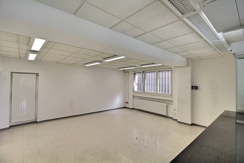 7003. Local Commercial / Bureaux modulables (13)