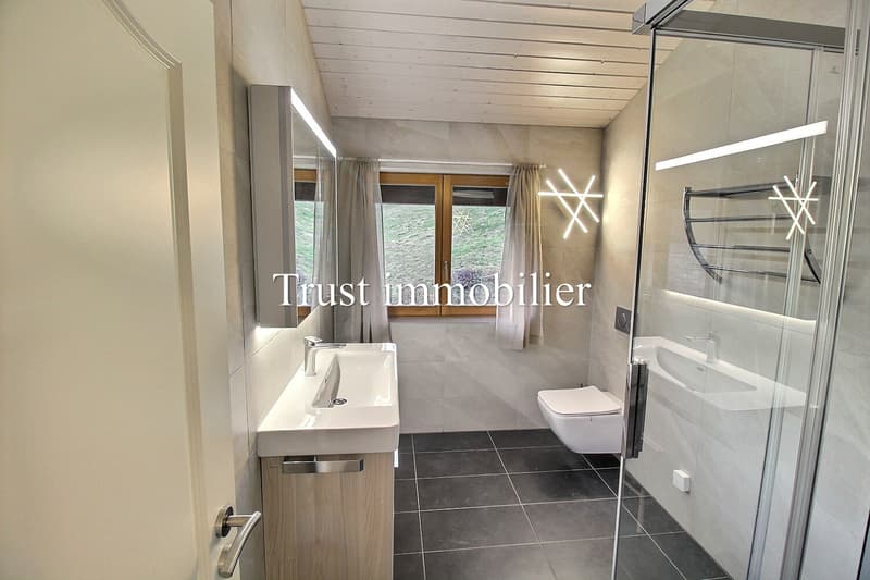Vue splendide et charme garantis pour ce Chalet rénové (7)