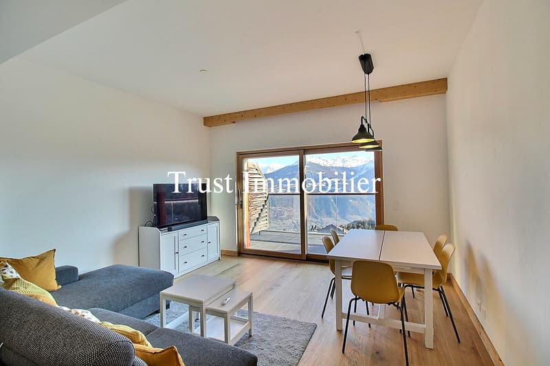 Bel Appartement de 3.5pcs avec vue sublime (5)