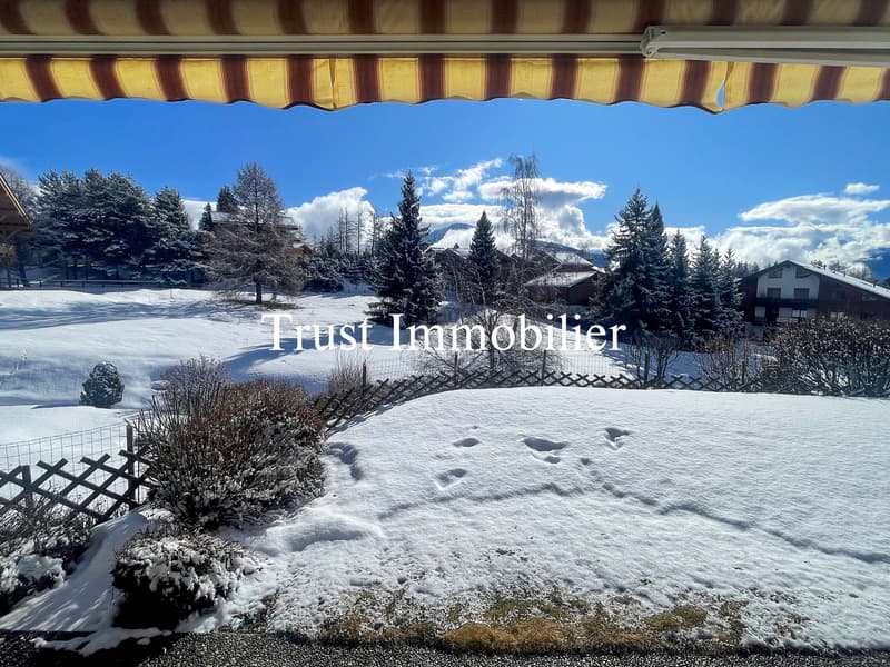 4010. Votre futur appartement  en rez-de-jardin (2)