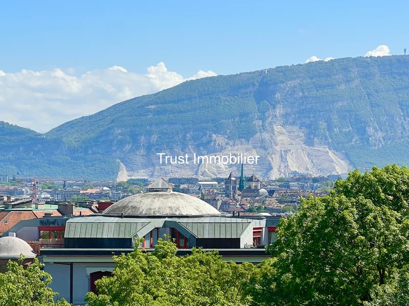 4001. Duplex attique rénové avec vue panoramique - Immeuble moderne (8)