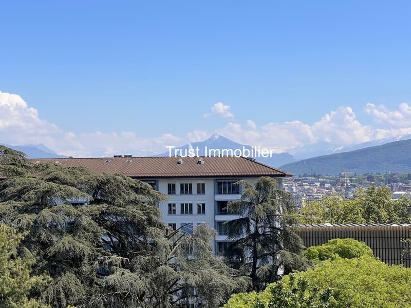 4001. Duplex attique rénové avec vue panoramique - Immeuble moderne (10)