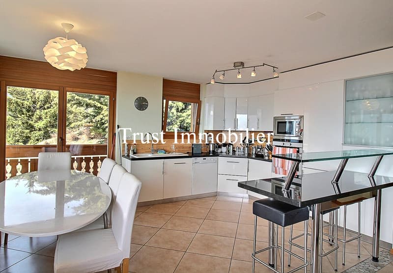 4007. Bel Appartement avec large vue montagnes (6)