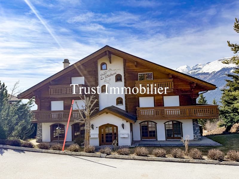 4007. Bel Appartement avec large vue montagnes (1)