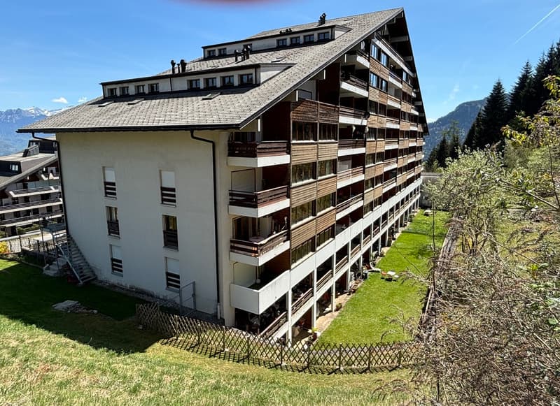 Charmant appartement de 2.5 pièces avec terrasse jardin a Torgon (1)