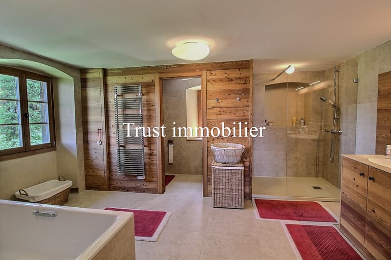 6009.Chalet / Castle fully renovated. Les Mayens-de-Sion (9)