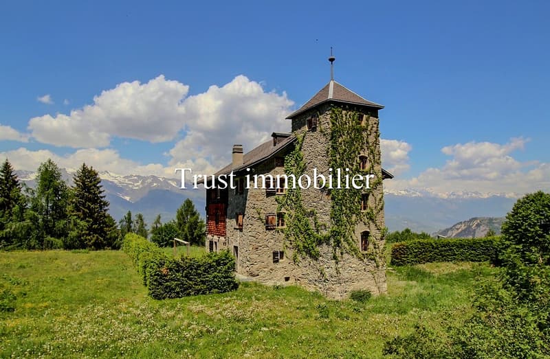 6009.Chalet / Castle fully renovated. Les Mayens-de-Sion (2)