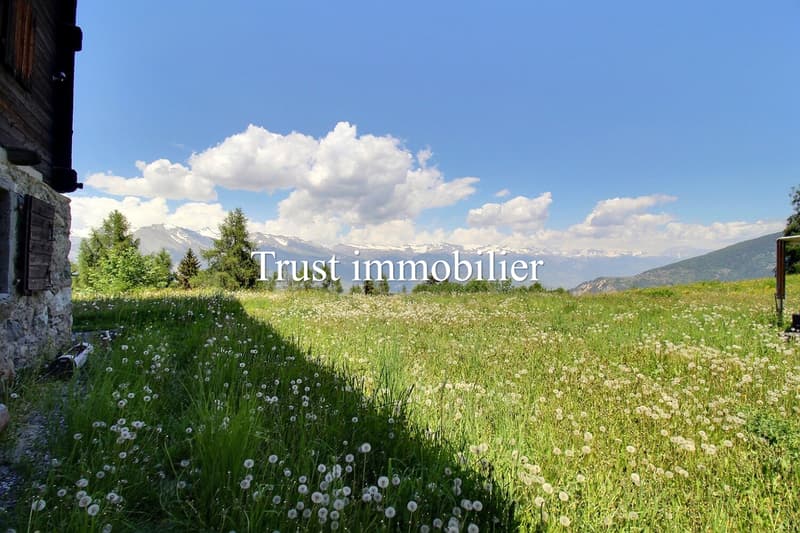6009.Chalet / Castle fully renovated. Les Mayens-de-Sion (3)