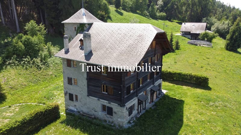 6009.Chalet / Castle fully renovated. Les Mayens-de-Sion (12)
