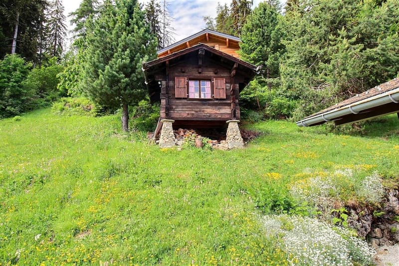 2004M.LA TZOUMAZ.Chalet autentico nel cuore delle Alpi vallesane (11)