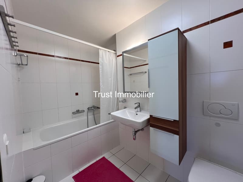 4001. Duplex attique rénové avec vue panoramique - Immeuble moderne (8)