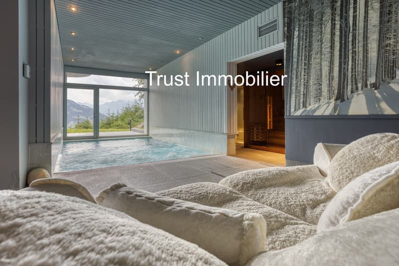 2011M-Gryon-Luxurious 450m2 house (13)