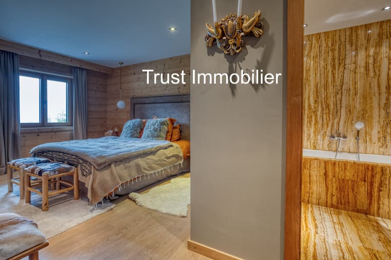 2011M-Gryon-Luxurious 450m2 house (11)